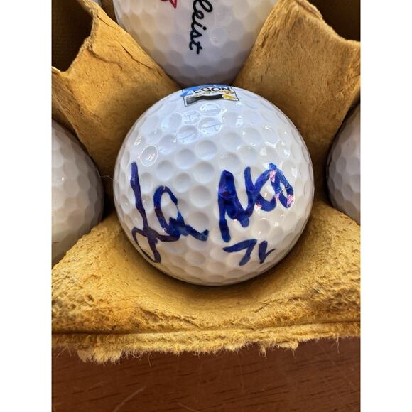 Lot of 20 Golf Resorts Courses Clubs Logo Golf Ball One Signed READ - Picture 2 of 10